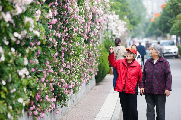 美国电话轰炸-电话轰炸平台